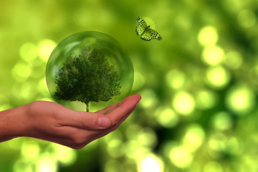 Comment adopter un mode de vie plus écologique ? Comment adopter un mode de vie plus écologique ?